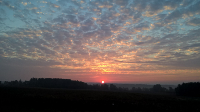 Východ slunce nad lesem